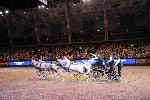 Extreme - 00957